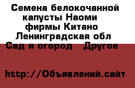 Семена белокочанной капусты Наоми F1 фирмы Китано - Ленинградская обл. Сад и огород » Другое   